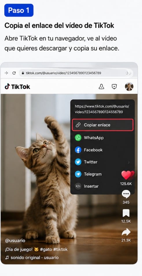 paso 1 para descargar ssstiktok videos sin marca de agua