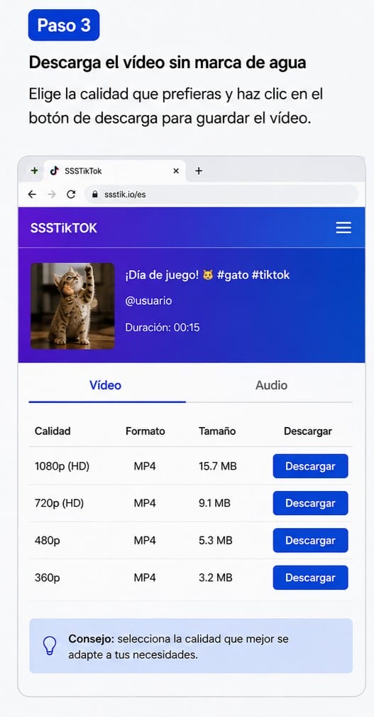 paso 3 para usar SSSTikTok 2026 para descargar de TikTok sin marca