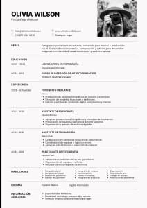 Currículum Fotógrafa Profesional Minimalista Gris. blanco