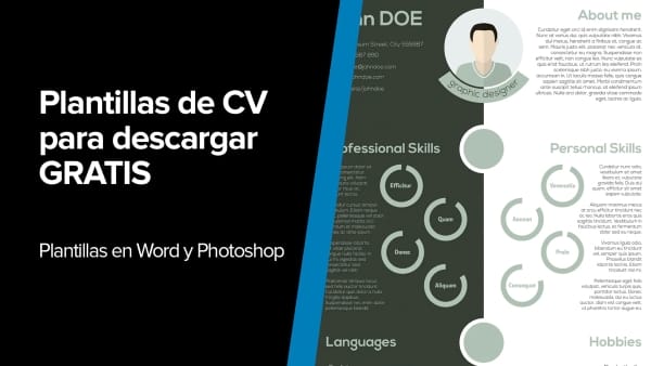 Plantillas de currículum de Nilton Navarro gratis