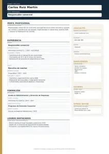 Plantilla de currículum PDF profesional